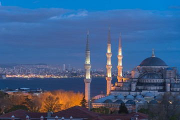 Fototapeta na wymiar blue mosque in istanbul turkey