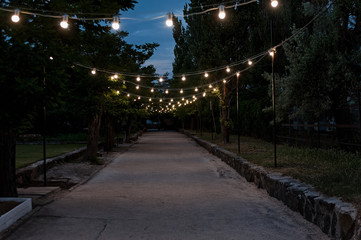 Hanging light bulbs on the night alley