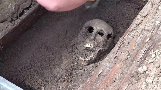 Excavating a skull in a grave