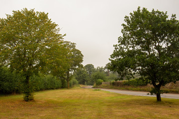 View of bend on country English lane with no people and no traffic.