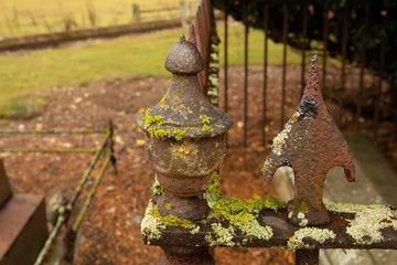 Selective focus on old wrought iron railings in English churchyard