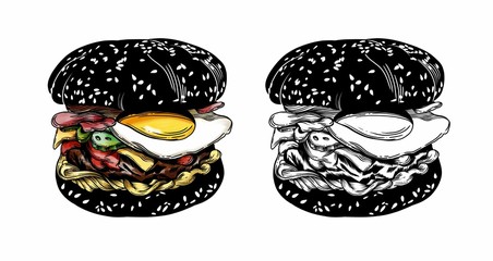 Illustration of different burgers. with detailed drawing in the style of the sketch. Color and black-and-white burgers.