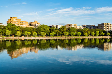 Fototapeta premium 福岡大濠公園の風景