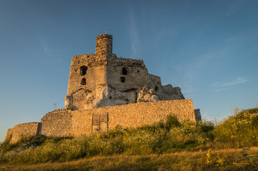 Zamek w Mirowie 2