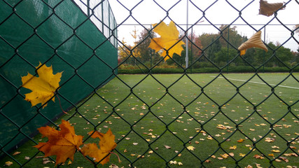 yellow fence in the park