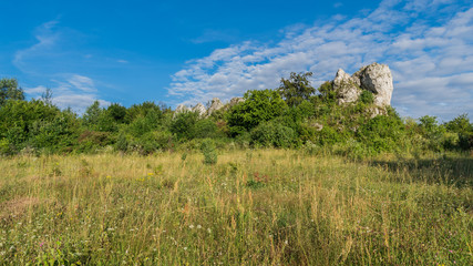 Skały Rzędkowickie 2 © Campanelli - TK