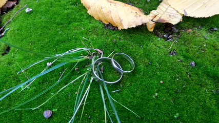 wedding rings in grass