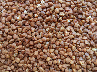 background of buckwheat