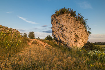 pod zamkiem w Mirowie © Campanelli - TK