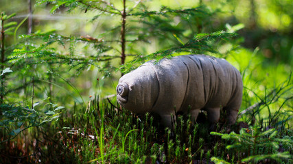 toy tardigrade in the forest