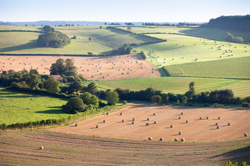 french countryside near Calais in parc regional de caps et marais in the north of france