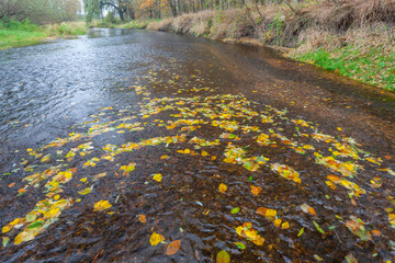 river Dyje South Moravia Czech Republic
