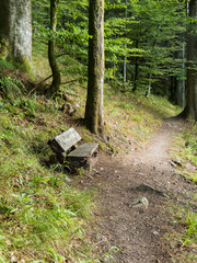 Banc en bois dans la forêt