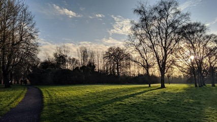 Sunny park with green grass in Ireland