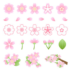 桜　イラスト素材