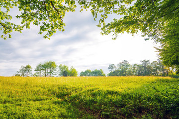 French landscape Haute Vienne Limousin,France