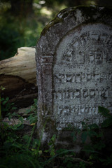 Jeden z najstarszych w Polsce, cmentarz żydowski w Szczebrzeszynie