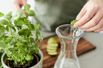 Person, die eine Wasser Karaffe mit Kr&auml;utern und geschnittenen Fr&uuml;chten bef&uuml;llt