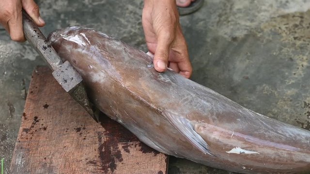 Fishermen are cutting fish for cooking.