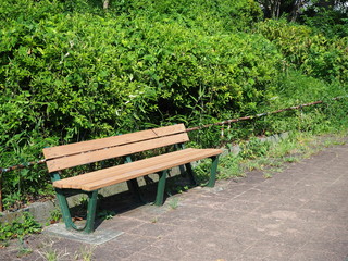 陽の当たる公園のベンチ