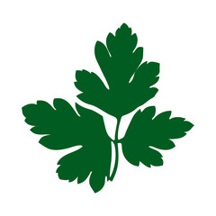 Parsley Icon