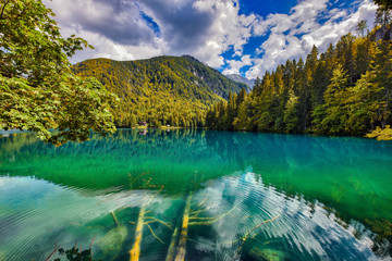 Lago di Fusine superiore (Tarvisio), in una giornata di rara bellezza, con tronchi sommersi, perfetto per riviste, magazine, copertine