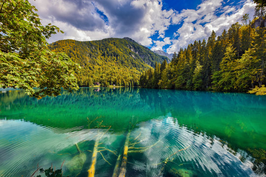 Lago di Fusine superiore (Tarvisio), in una giornata di rara bellezza, con tronchi sommersi, perfetto per riviste, magazine, copertine
