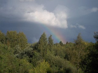 beyond the forest there is a rainbow in the clouds