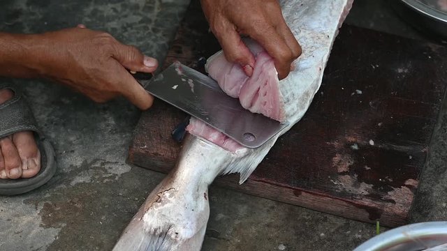 Fishermen are cutting fish for cooking.