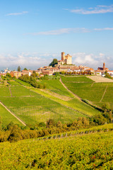 View of the village of Serralunga d`Alba and the wonderful Langa, italy