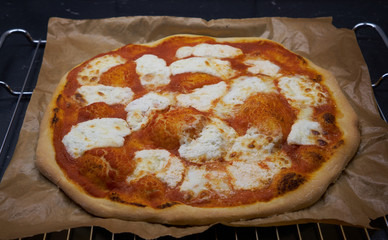Homemade baked pizza with mozzarella                               