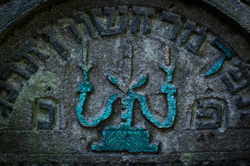 Jeden z najstarszych w Polsce, cmentarz żydowski w Szczebrzeszynie - obrazy, fototapety, plakaty