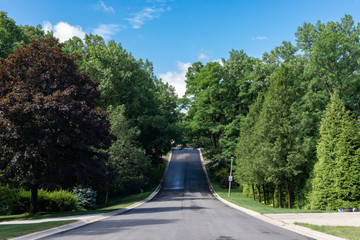 Hill on a Midwestern Neighborhood Street with Green Trees during Summer in Lemont Illinois