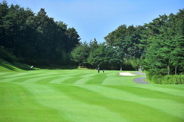Fairway and Green on the Golf Course