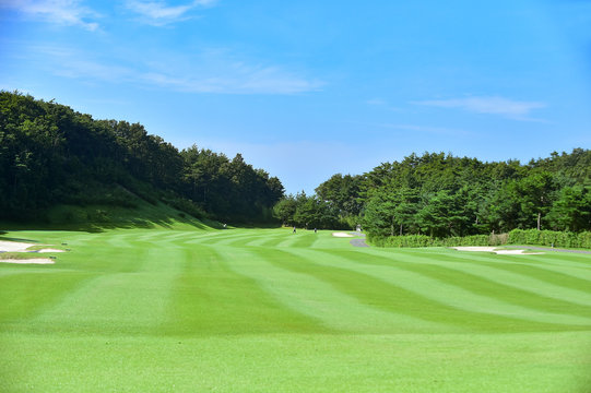 Fairway and Green on the Golf Course