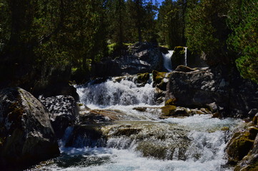 waterfall in the forest