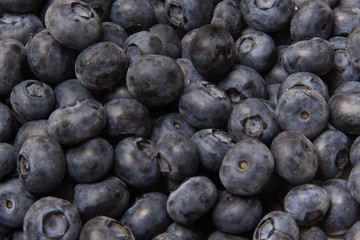 blueberries flat lay. sweet berries top view