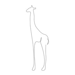 Giraffe african design vector illustration