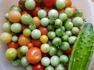 Red and green tomatoes on a plate