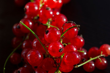 Close-up of red currant berries on a dark background