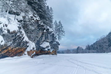 Trees on the edge of the cliff