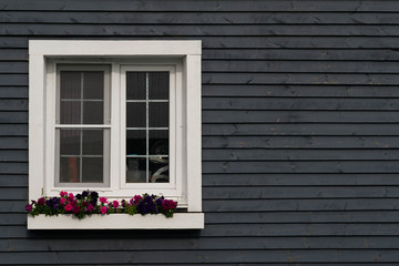 Fototapeta na wymiar gray wall with white French window and flowers