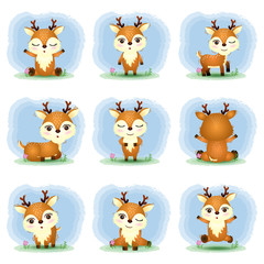 cute deers collection in the children's style