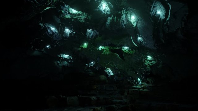 Waitomo Glowworm Caves, Waikato, in pristine secret cave in New Zealand.