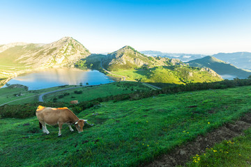 views of Sunset of national park peaks of europe