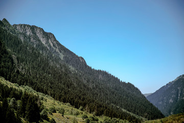 Pokut Plateau, Camlıhemşin, Rize, Turkey, Highland View