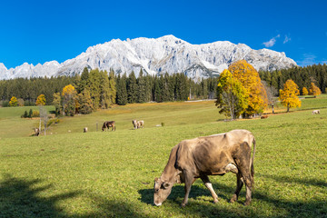 autumn view of Dachstein massif in Austria