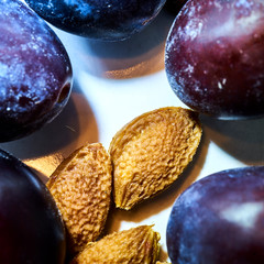 Blue and purple plums frame brown plum seeds in a white bowl