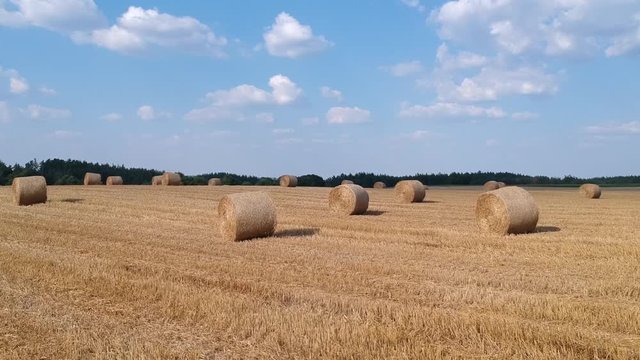 Amazing landscape with hay bales in the field after the harvest in Poland
