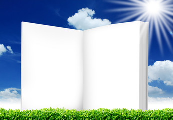 open book on green grass